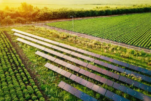 fazenda com energia solar